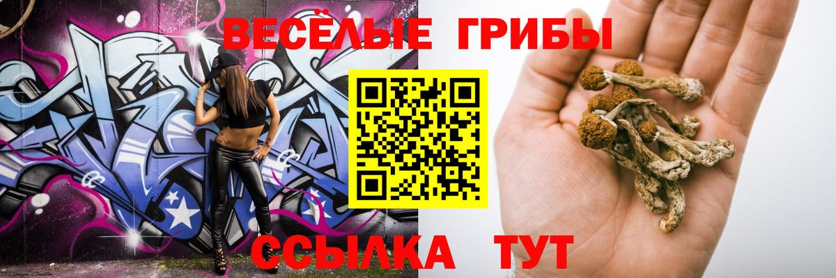Псилоцибиновые грибы мицелий Кстово
