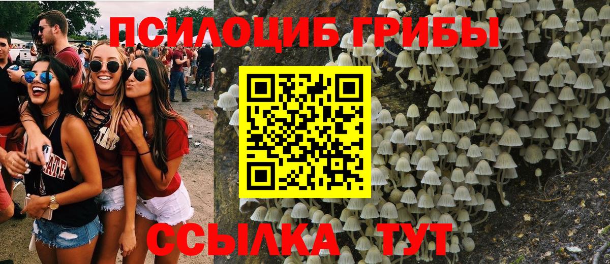 Галлюциногенные грибы Magic Shrooms  Вход с VPN  Кстово 